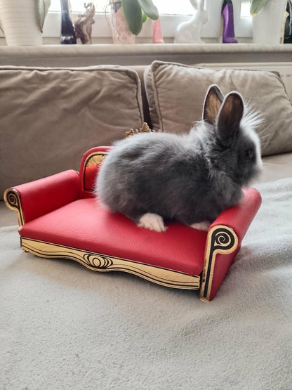 Stylowa sofa / leżanka dla królika