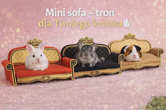 Stylowa sofa / leżanka dla królika