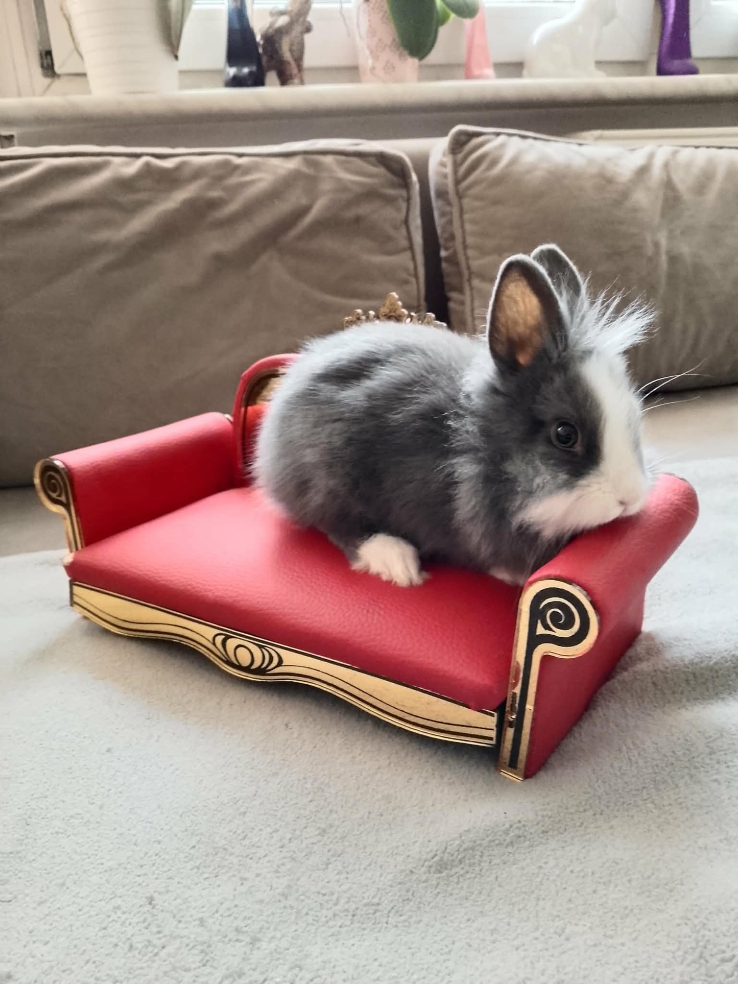 Stylowa sofa / leżanka dla królika